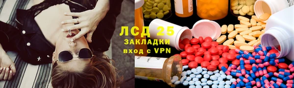 прущие грибы Краснотурьинск