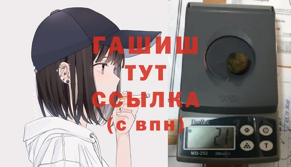 гидра Краснослободск