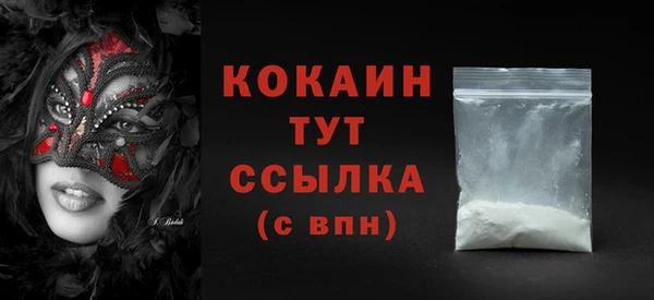 гидра Краснослободск