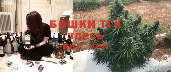 гидра Краснослободск
