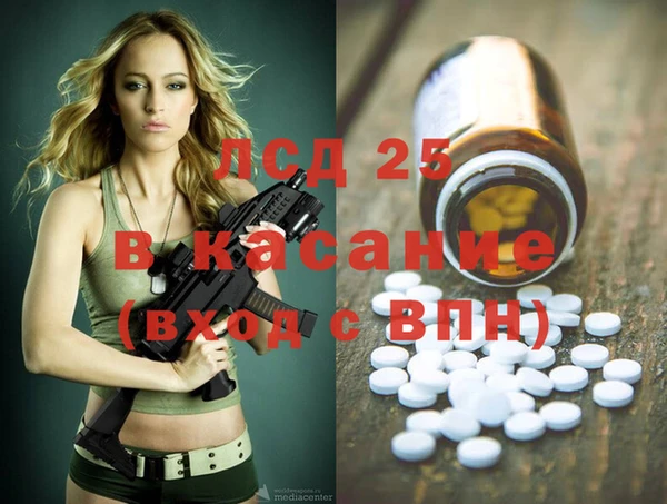прущие грибы Краснотурьинск