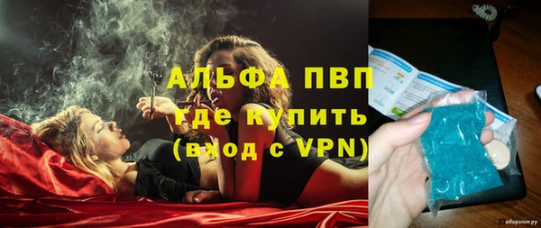 прущие грибы Краснотурьинск