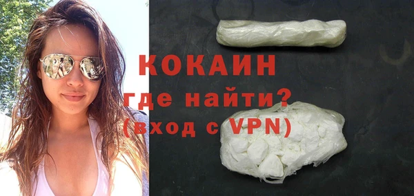 прущие грибы Краснотурьинск