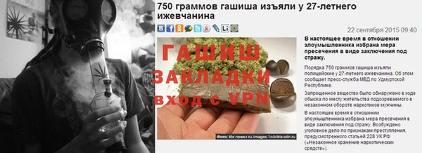 прущие грибы Краснотурьинск