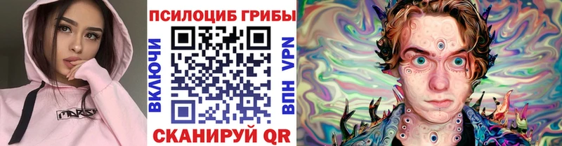 блэк спрут зеркало  Павловск  Псилоцибиновые грибы ЛСД 