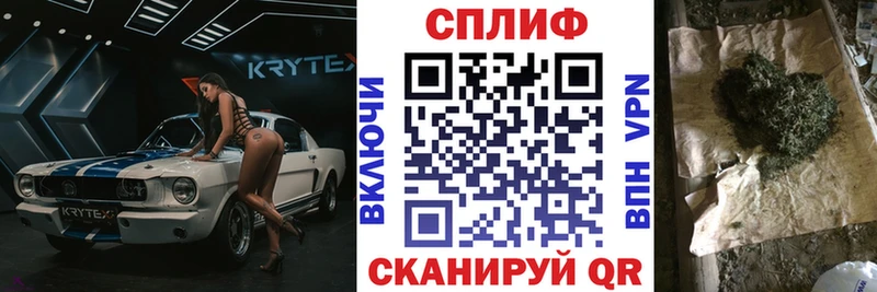 где можно купить наркотик Павловск МАРИХУАНА сатива